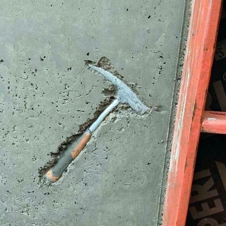 Describe this image